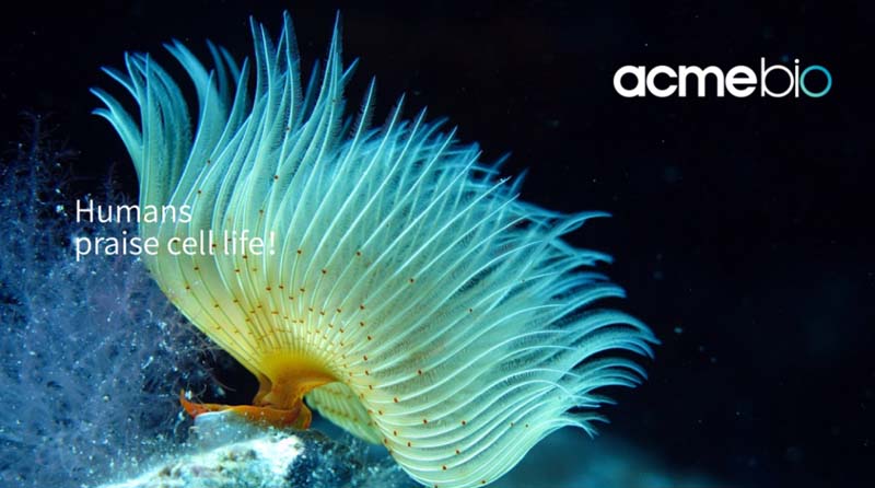 中至生物：大道至簡·品牌百萬級LOGO升級引爆品牌氣質(zhì)！