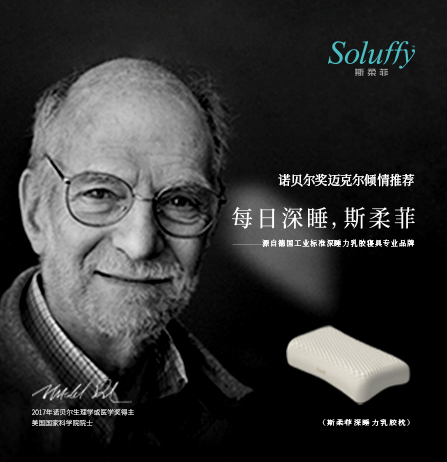 斯柔菲品牌全案服務(wù)