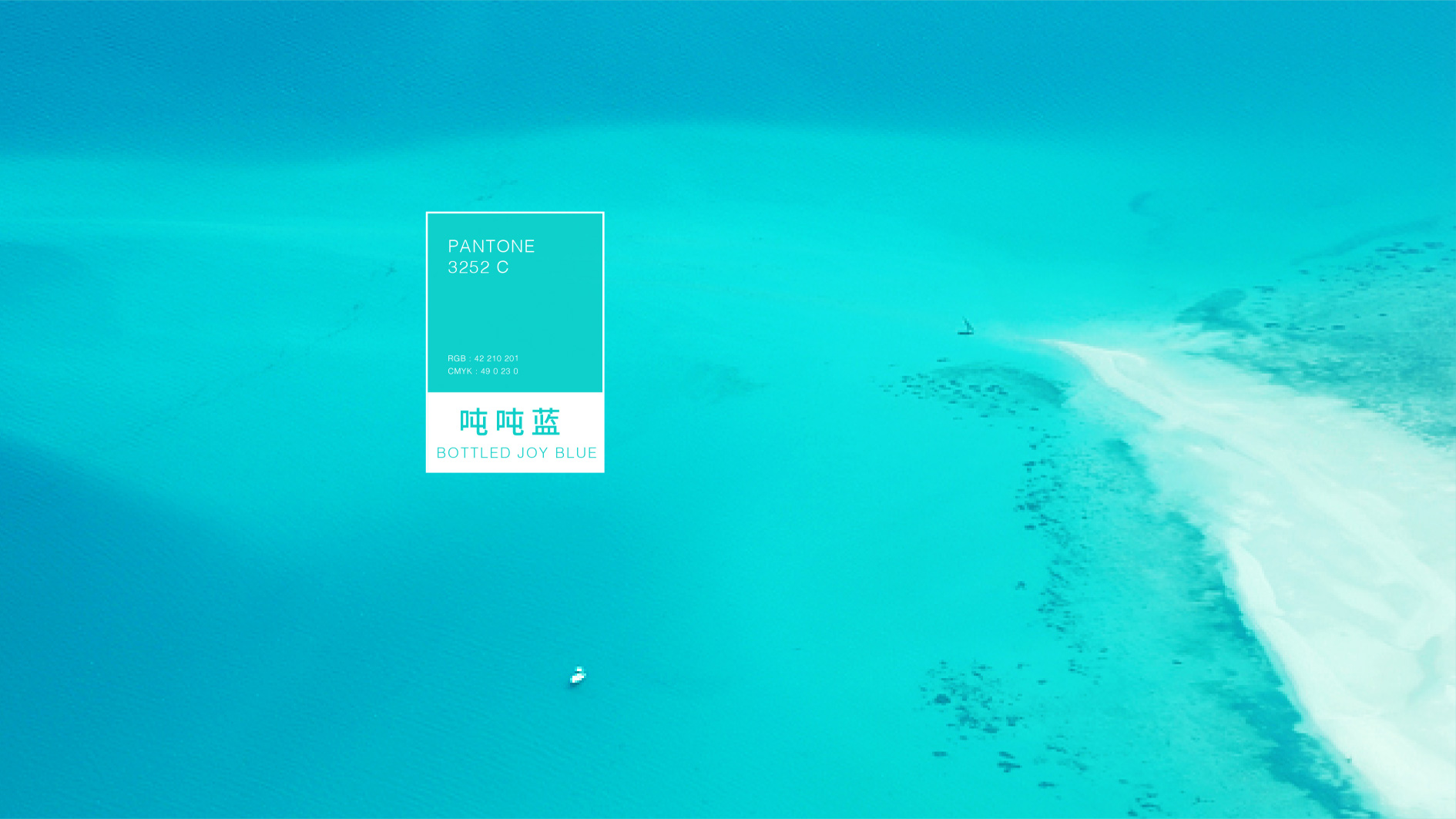 圖片4.jpg 圖片4.jpg